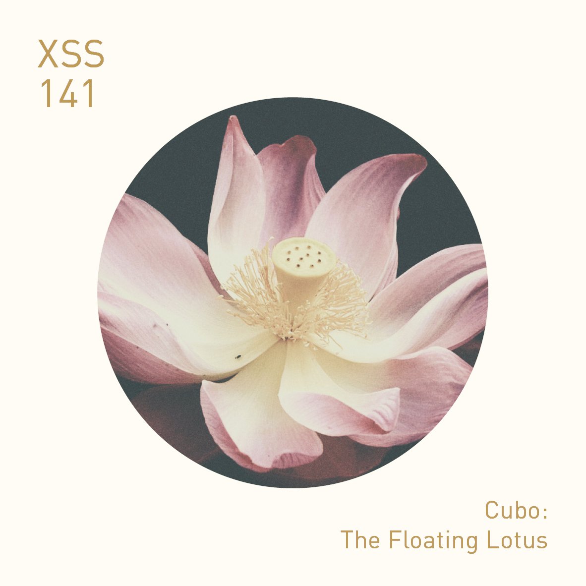 XSS141 | Cubo | The Floating Lotus