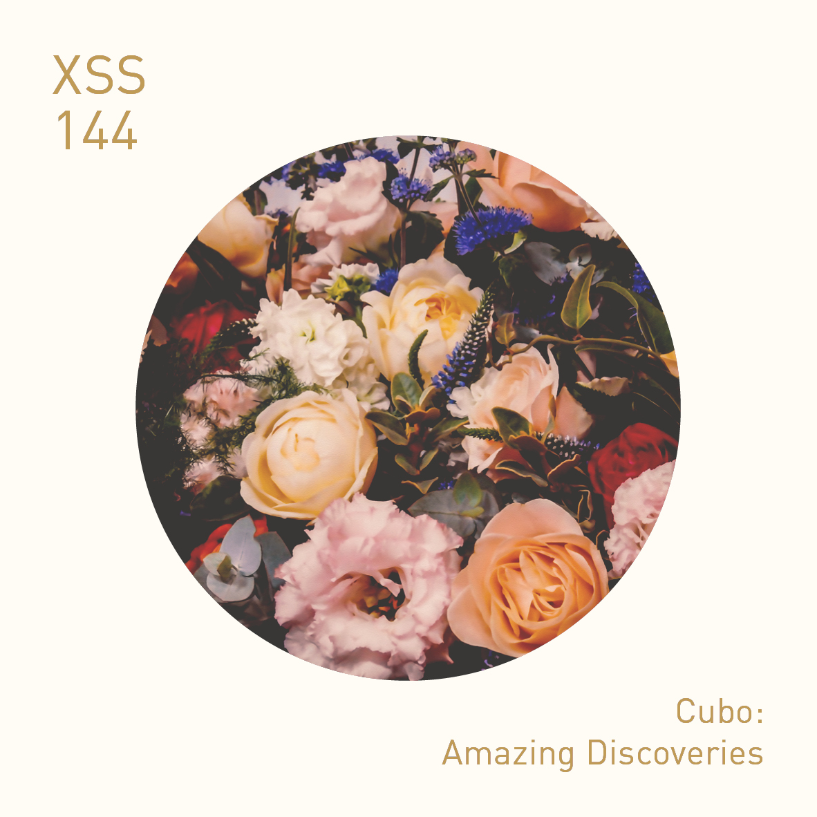 XSS144 | Cubo | Amazing Discoveries