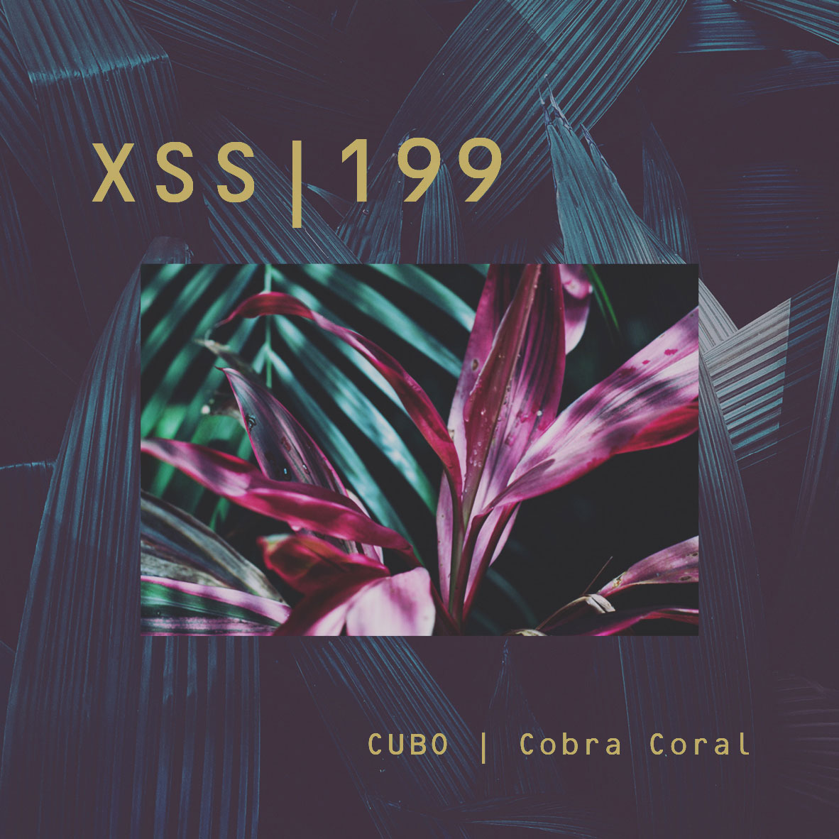 XSS199 | Cubo | Cobra Coral