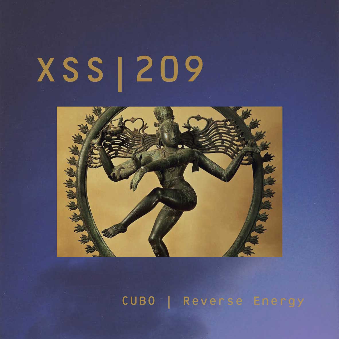 XSS209 | Cubo | Reverse Energy