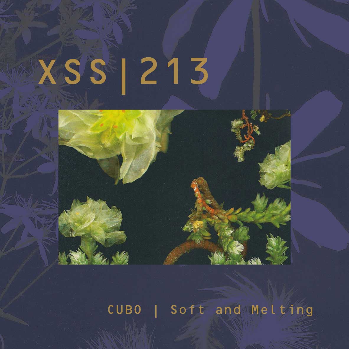 XSS213 | Cubo | Soft and Melting