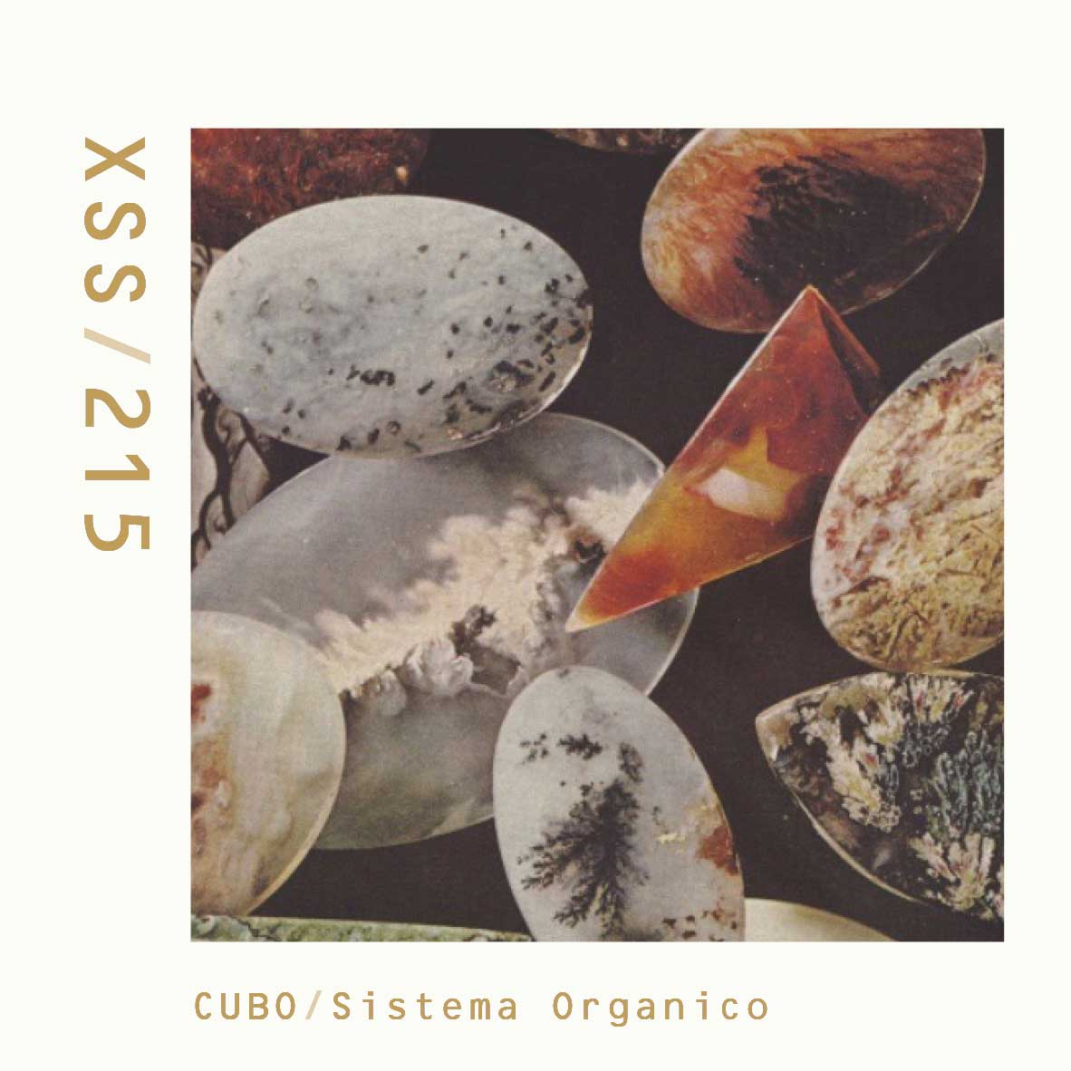 XSS215 | Cubo | Sistema Organico