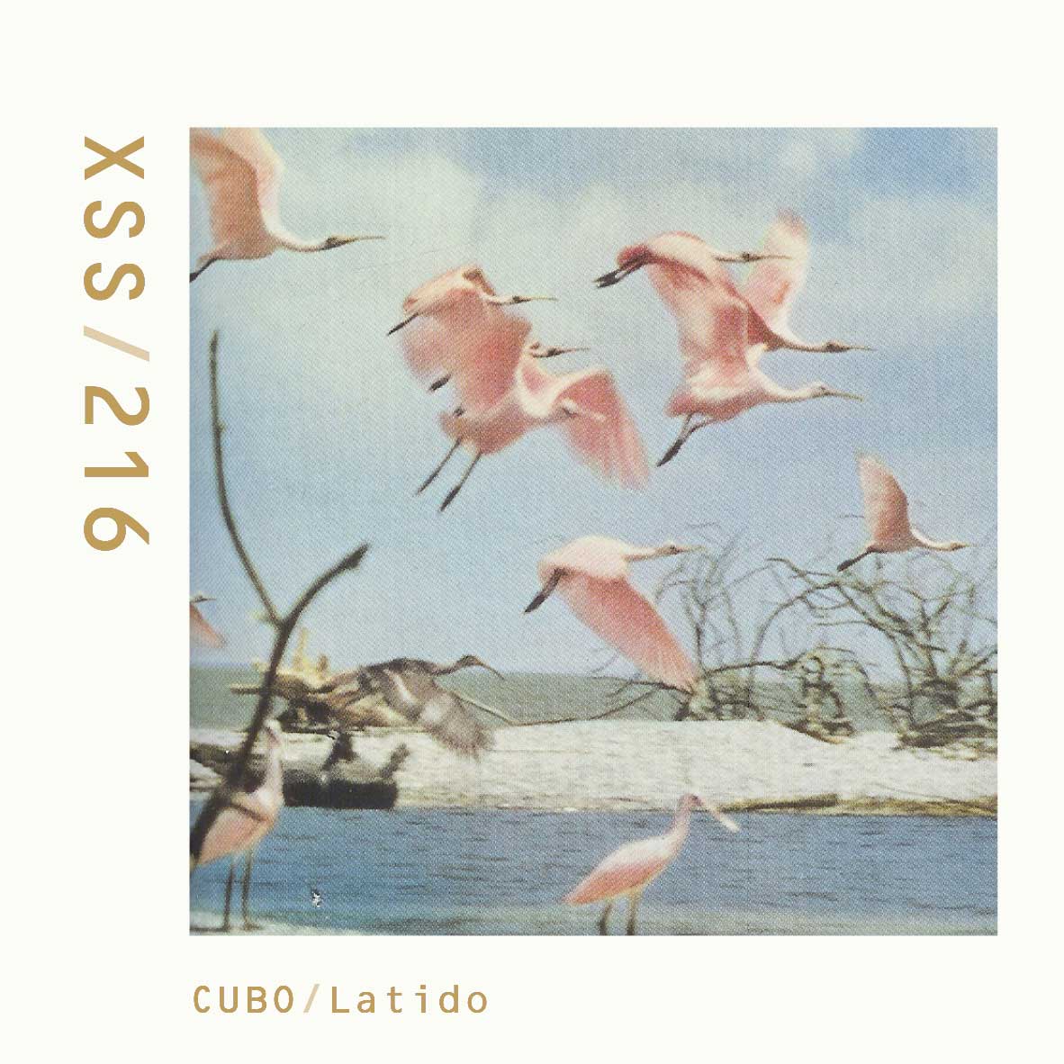 XSS216 | Cubo | Latido