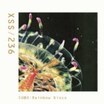 XSS236 | Cubo | Rainbow Disco