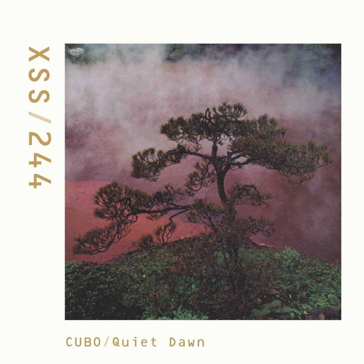 XSS244 | Cubo | Quiet Dawn