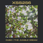 XSS256 | Cubo | The Jungle Dream