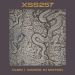 XSS257 | Cubo | Words in Motion