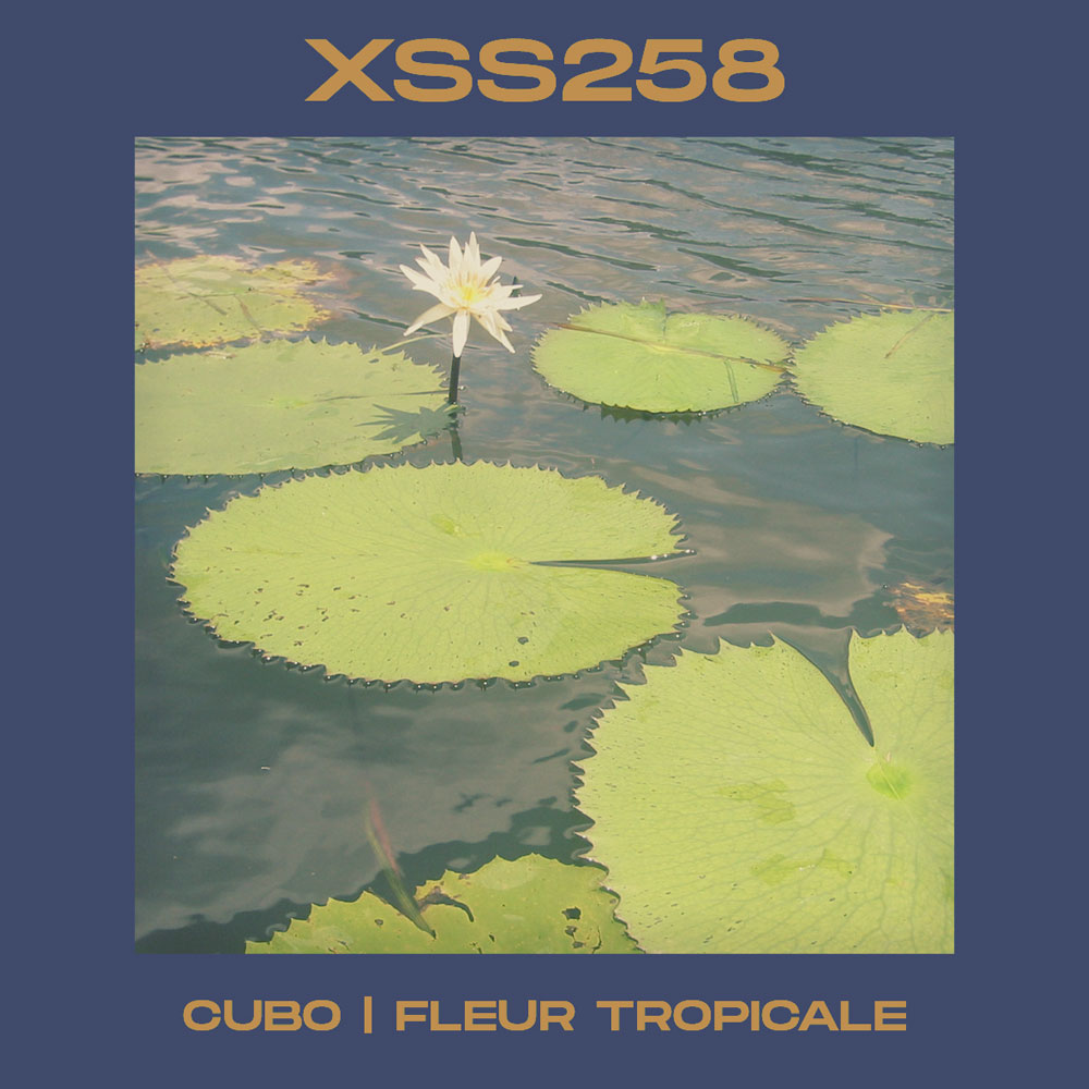 XSS258 | Cubo | Fleur Tropicale