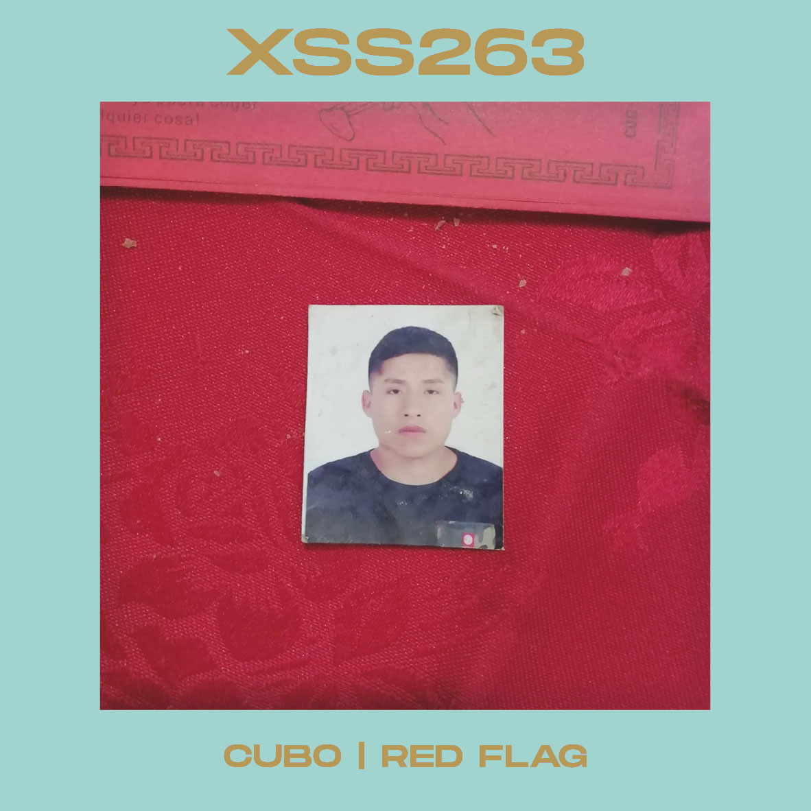 XSS263 | Cubo | Red Flag