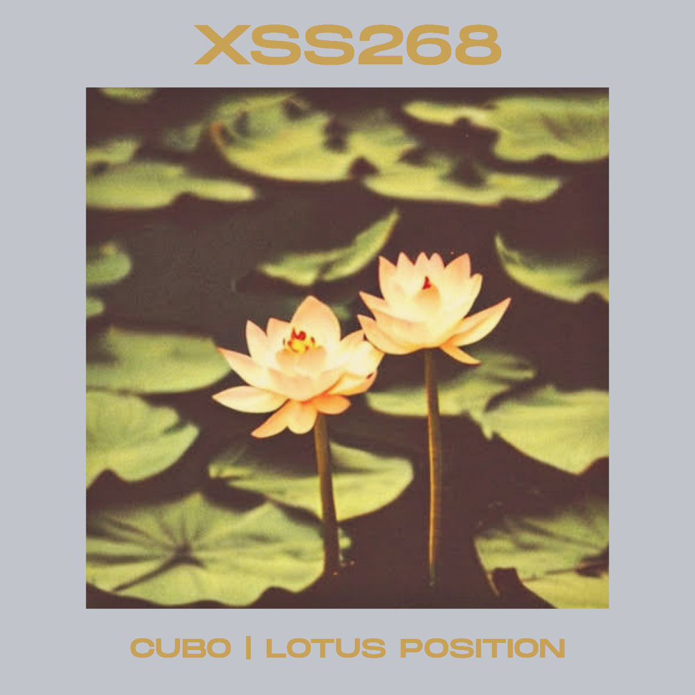 XSS268 | Cubo | Lotus Position