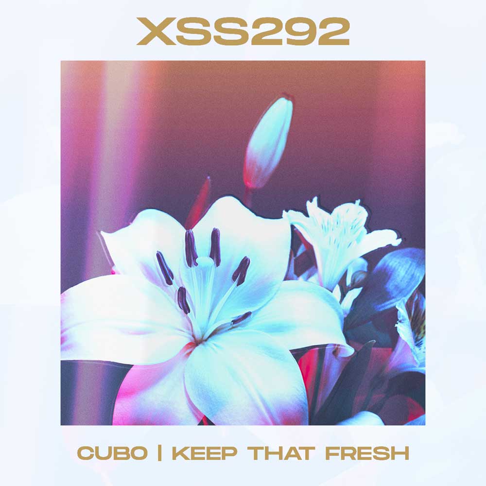 XSS292 | Cubo | Keep That Fresh